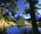 Te Wahipounamu - Güney Batı Yeni Zelanda.